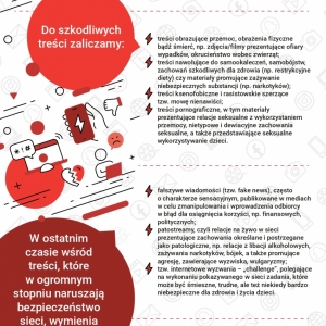 infografik dotyczących szkodliwych treści w internecie