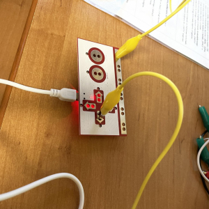 płytka Makey Makey