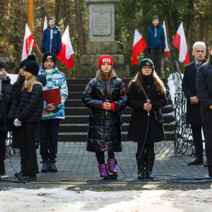 Uroczystości patriotyczne na Borze