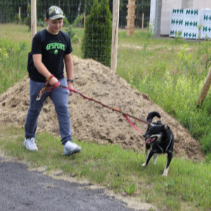 z wizytą w Punkcie Przetrzymań - Szydłowiec