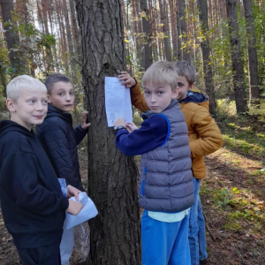 Poznajemy ekosystem lasu - część 1