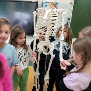 Lekcja anatomii w klasie 2a