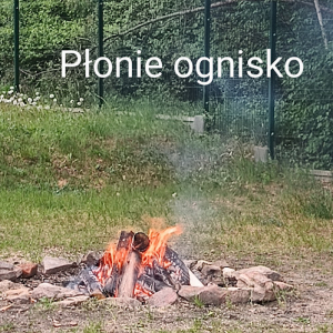 ognisko