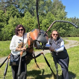 sesja fotograficzna w parku Janowa Lubelskiego