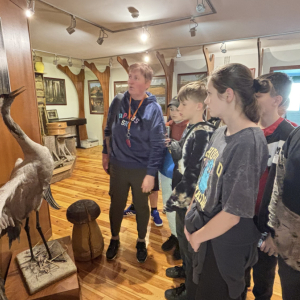 Nadleśnictwo w Janowie Lubelskim