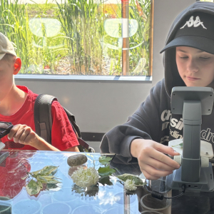 warsztaty w ZOOM NATURY - Janów Lubelski