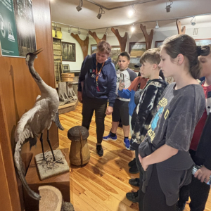 Nadleśnictwo w Janowie Lubelskim