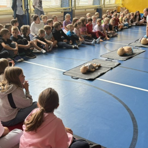 warsztaty pierwszej pomocy