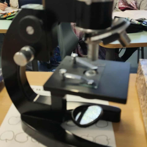 obserwacje mikroskopowe