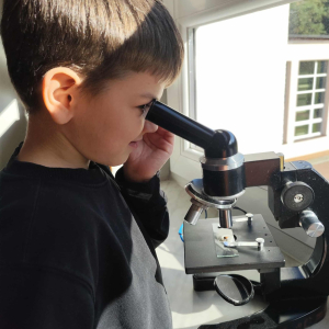 obserwacje mikroskopowe