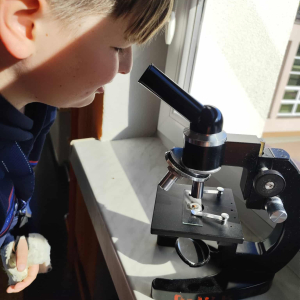 obserwacje mikroskopowe