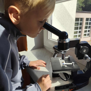 obserwacje mikroskopowe