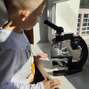 obserwacje mikroskopowe