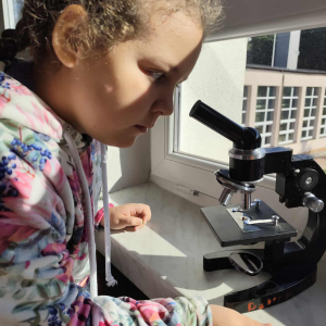 obserwacje mikroskopowe