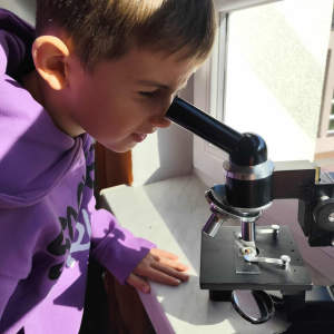 obserwacje mikroskopowe