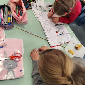 obserwacje mikroskopowe