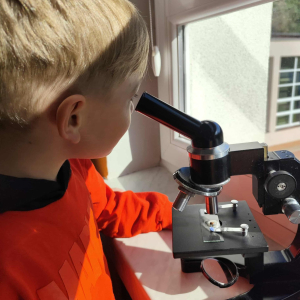 obserwacje mikroskopowe