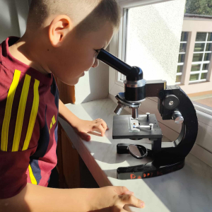 obserwacje mikroskopowe