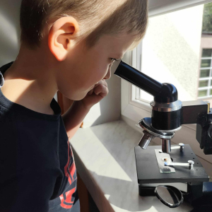 obserwacje mikroskopowe