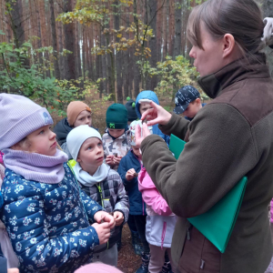 Wycieczka do lasu