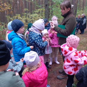 Wycieczka do lasu