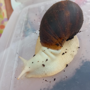 Egzotyczni goście w naszym przedszkolu. 