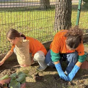 Wolontariusze z SP2 wraz z opiekunami włączyli się w akcję „Pola Nadziei”. 