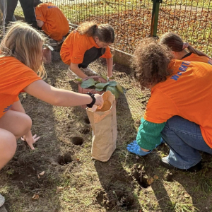 Wolontariusze z SP2 wraz z opiekunami włączyli się w akcję „Pola Nadziei”. 
