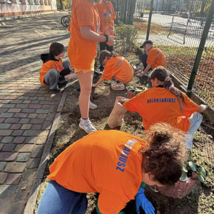 Wolontariusze z SP2 wraz z opiekunami włączyli się w akcję „Pola Nadziei”. 
