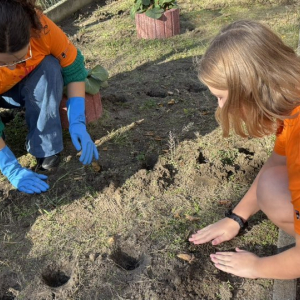 Wolontariusze z SP2 wraz z opiekunami włączyli się w akcję „Pola Nadziei”. 