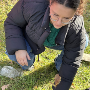 1000-lecie Królestwa Polskiego