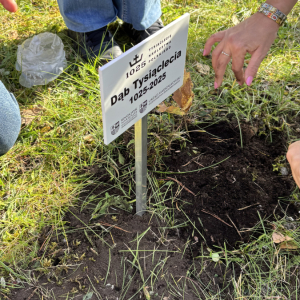 1000-lecie Królestwa Polskiego