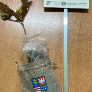 1000-lecie Królestwa Polskiego