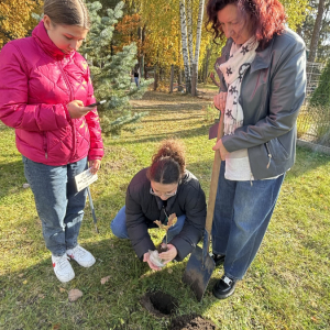 1000-lecie Królestwa Polskiego