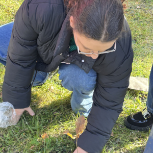 1000-lecie Królestwa Polskiego