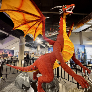  LEGO, piłka i my- drużyna nie do pokonania! 