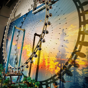  LEGO, piłka i my- drużyna nie do pokonania! 