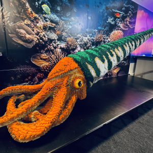  LEGO, piłka i my- drużyna nie do pokonania! 