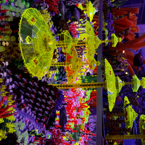  LEGO, piłka i my- drużyna nie do pokonania! 