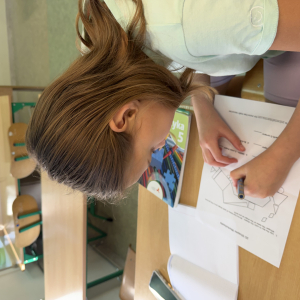 Mission (Im)Possible: Shapes Edition