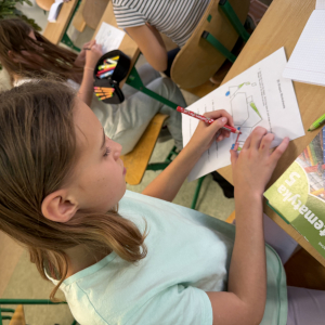 Mission (Im)Possible: Shapes Edition