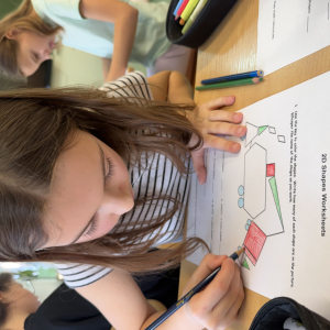 Mission (Im)Possible: Shapes Edition