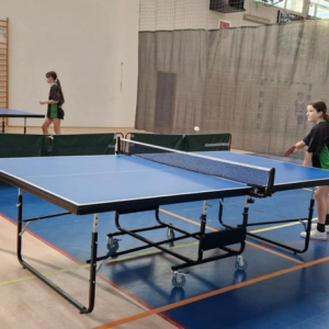 DZIEWCZĘTA z SP nr 2 MISTRZYNIAMI Skarżyska- Kamiennej  w Tenisie Stołowym 