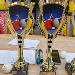 SREBRO DLA ,,DWÓJKI "!!!