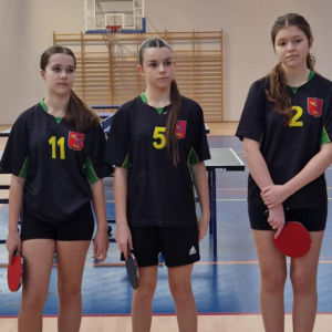 DZIEWCZĘTA z ,,DWÓJKI MISTRZYNIAMI Skarżyska- Kamiennej  w Tenisie Stołowym !!!