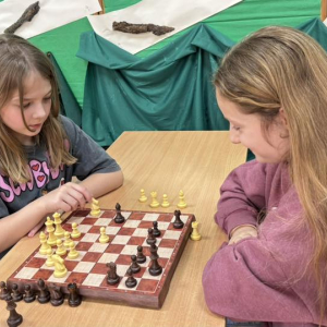 Zajęcia koła szachowego