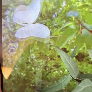 Zajęcia otwarte w przedszkolu