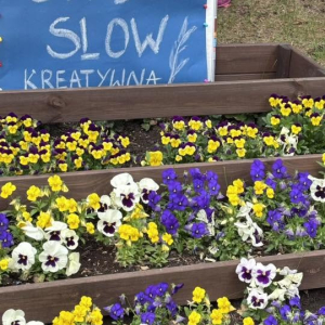 strefa artystyczna